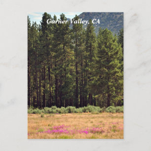 Garner Valley, CA postcard