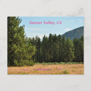 Garner Valley, CA postcard