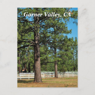 Garner Valley Postcard