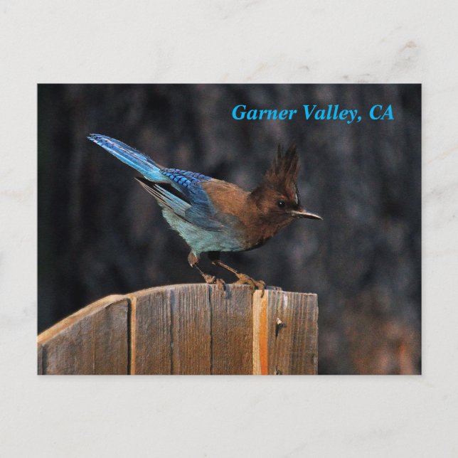 Garner Valley Postcard (Front)