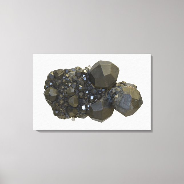 Garnet in Natural Form Canvas Print (Front)