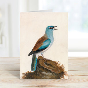 Garrulous Roller William Lewin Card