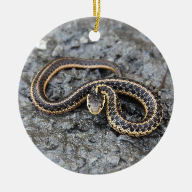 Garter Snake Ceramic Ornament (Front)