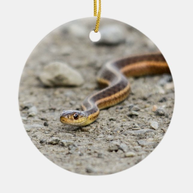 Garter Snake Ceramic Ornament (Front)
