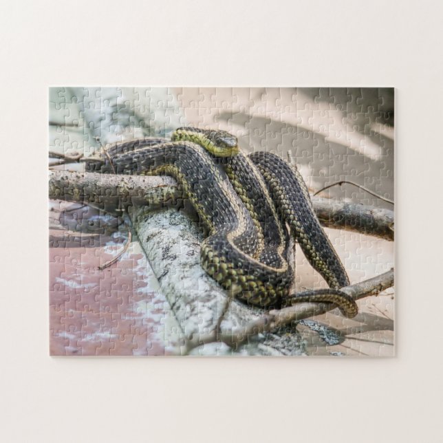 Garter Snake Jigsaw Puzzle (Horizontal)