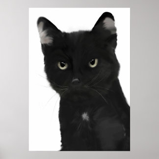 Gary the black cat poster