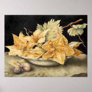 Garzoni - Still Life With Pumpkin Flowers And Vine Poster