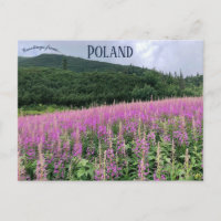 Gąsienicowa Valley Zakopane Poland