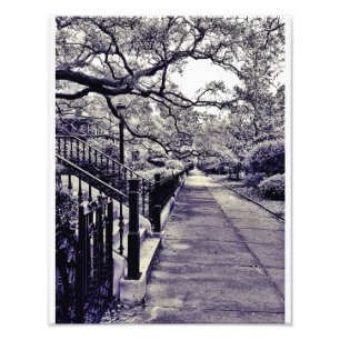 Gaston Street Photo Print