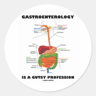 Gastroenterology Is A Gutsy Profession Classic Round Sticker
