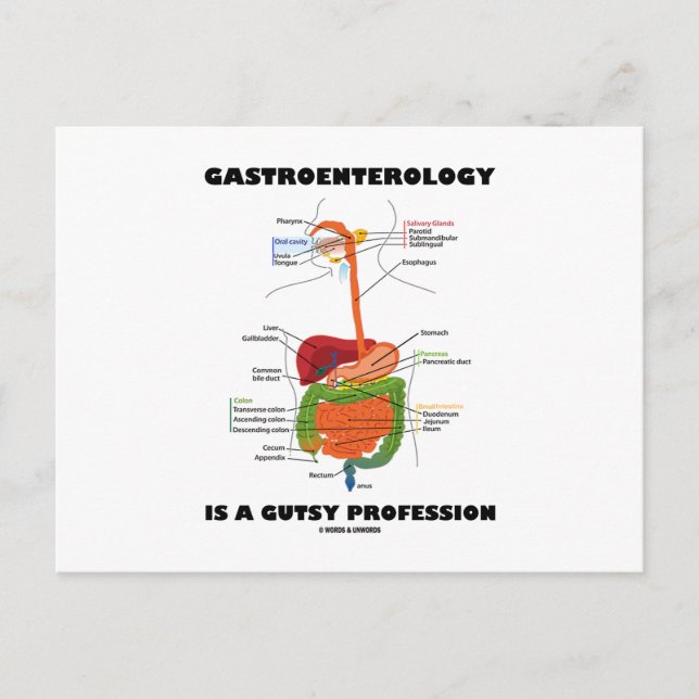 Gastroenterology Is A Gutsy Profession Postcard (Front)