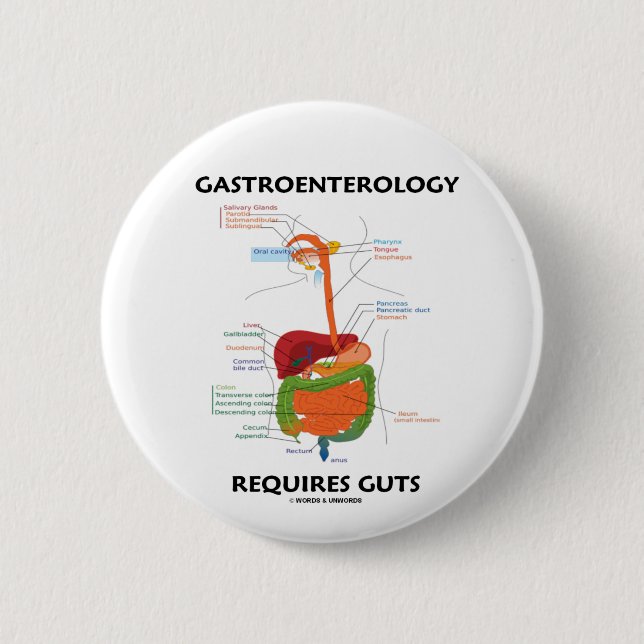 Gastroenterology Requires Guts (Digestive System) 2 Inch Round Button (Front)