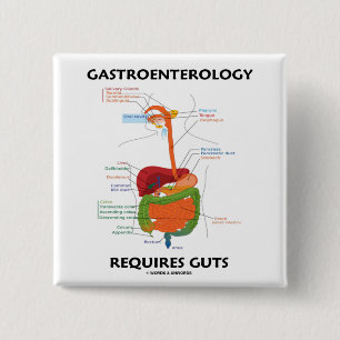 Gastroenterology Requires Guts (Digestive System) 2 Inch Square Button