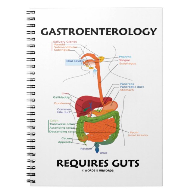 Gastroenterology Requires Guts Digestive System Notebook (Front)