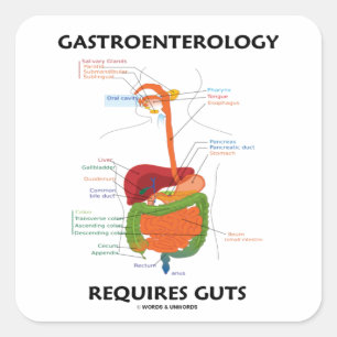 Gastroenterology Requires Guts (Digestive System) Square Sticker