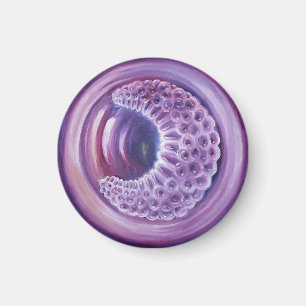 Gastrula Magnet