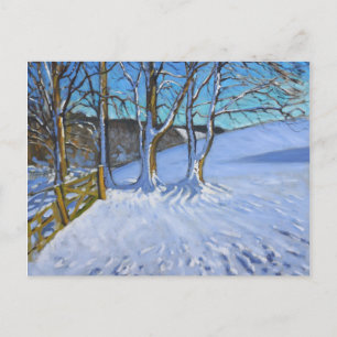 Gate and trees Winter Dam Lane Derbyshire 2013 Postcard
