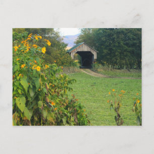 Gates Farm Covered Bridge Sunflowers Cambridge VT Postcard