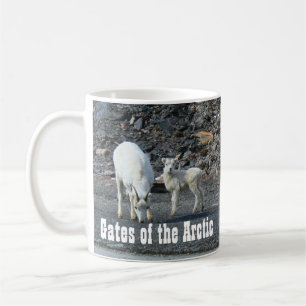 Gates of the Arctic Mug