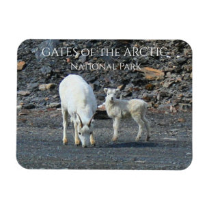 Gates of the Arctic National Park Magnet