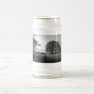 Gateway to the valley beer stein