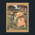 Gather Roses While Ye May - Women Picking Flowers Postcard<br><div class="desc">"Gather Ye Rosebuds While Ye May" a painting of two women picking flowers in a meadow. Vintage artwork by Waterhouse.</div>