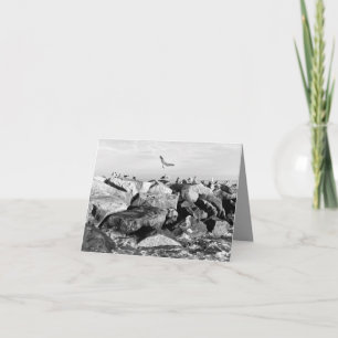 Gathering Hopeful Birds in Black and White Card 