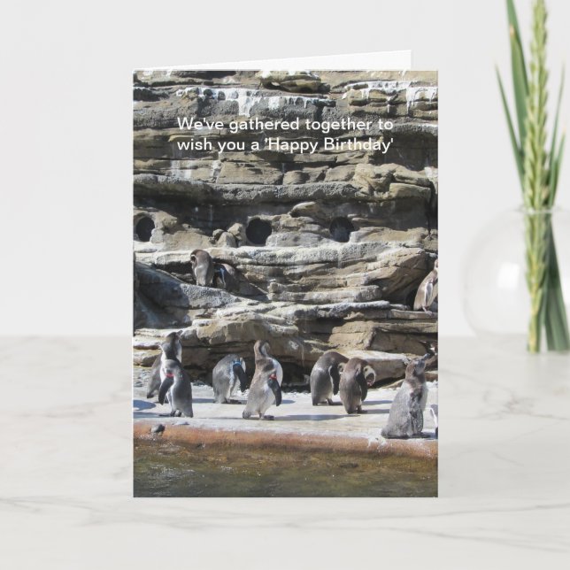 Gathering of Penguins Card (Front)