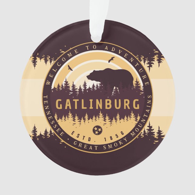 Gatlinburg Tennessee Ours Pins Nature (devant)