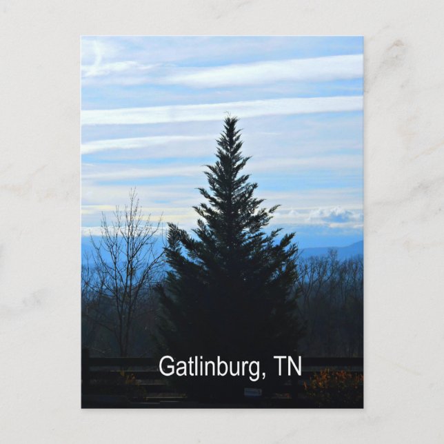 Gatlinburg, Tennessee Postcard (Front)