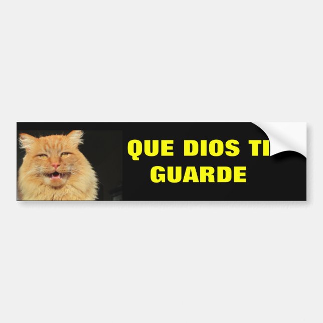 Gato - Que Dios Ti Guarde (May God Watch Over You) Bumper Sticker (Front)