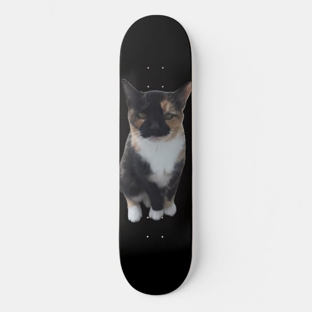 GatoDisapproves Skateboard (Front)