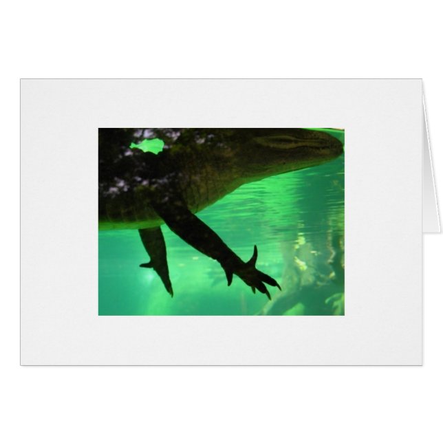 Gator (Devant Horizontal)