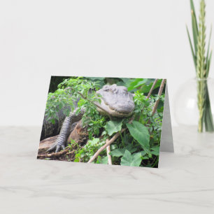 Gator 0111 Greeting Card