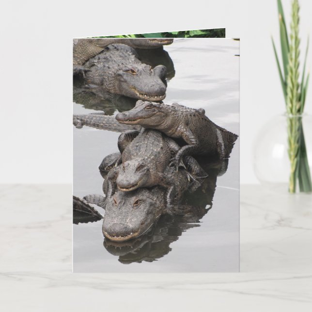 Gator Birthday Party Card (Front)