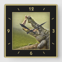 Gator Catching Lunch Action Photography
