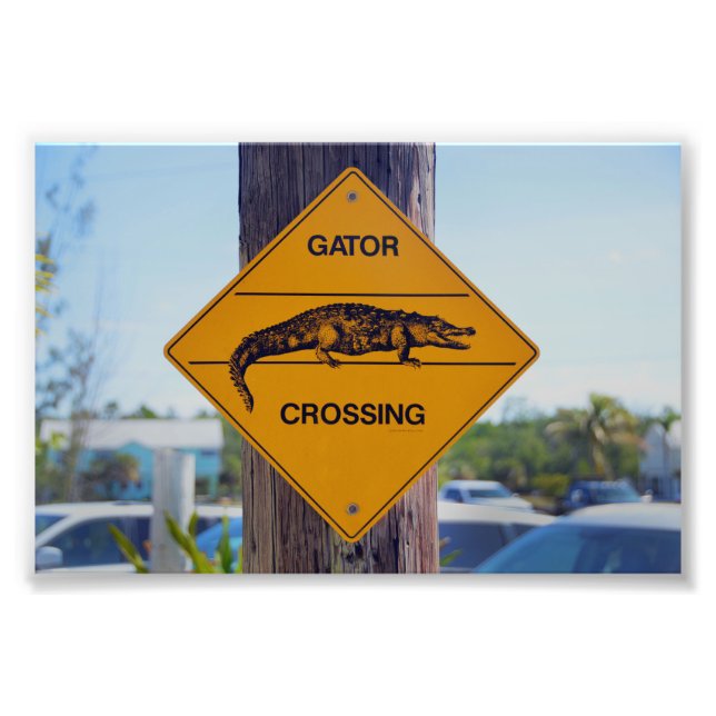 Gator Crossing Sign, Florida Photo Print (Front)