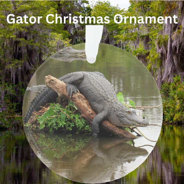 Gator de marais de Floride - Ornement acrylique (Créateur téléchargé)