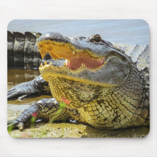 Gator. Face to face Mouse Pad (Front)