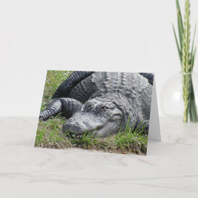 Gator Greeting Card (Front)