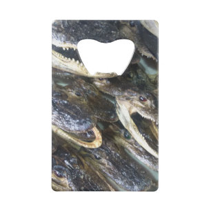 Gator Head Bottle Opener Credit Card Bottle Opener