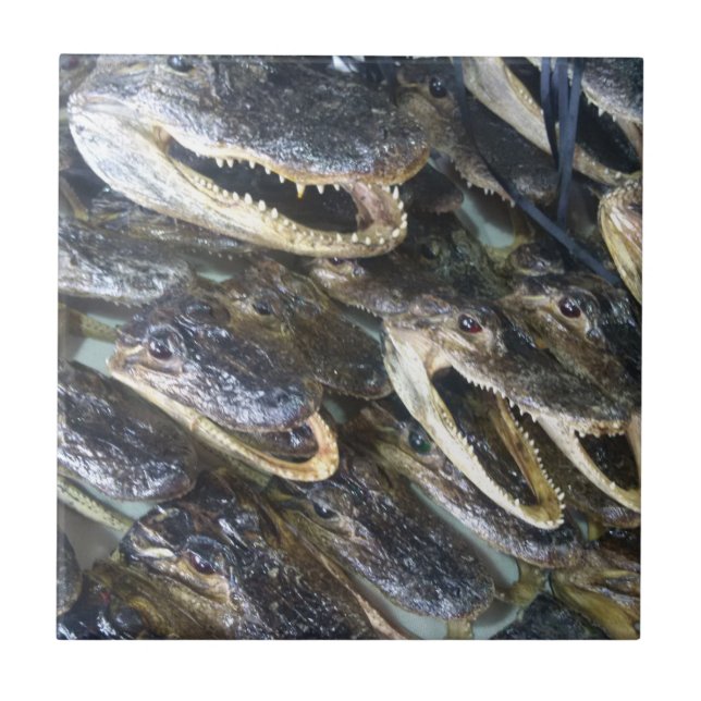 Gator Head Ceramic Tile (Front)