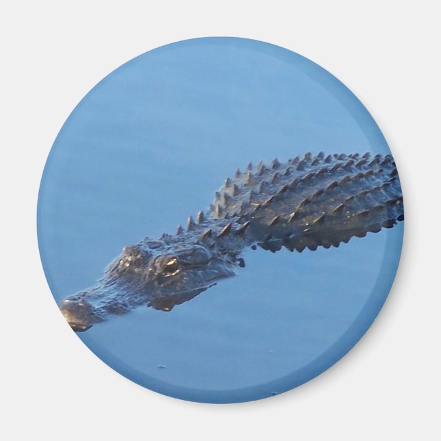 Gator I Magnet (Front)
