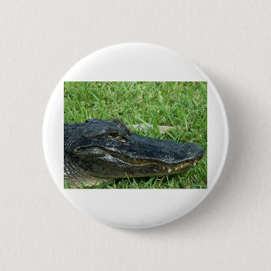 Gator in grass 2 inch round button
