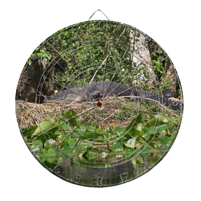 Gator luv zoom pic dartboard (Front)