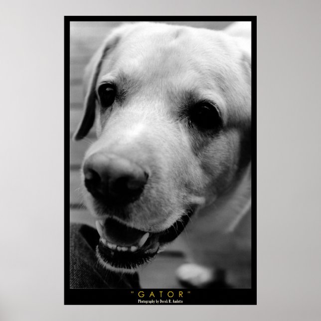 GATOR POSTER (Front)