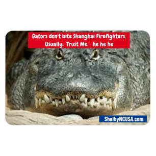 Gators don't bite. Trust Me. flexible magnet