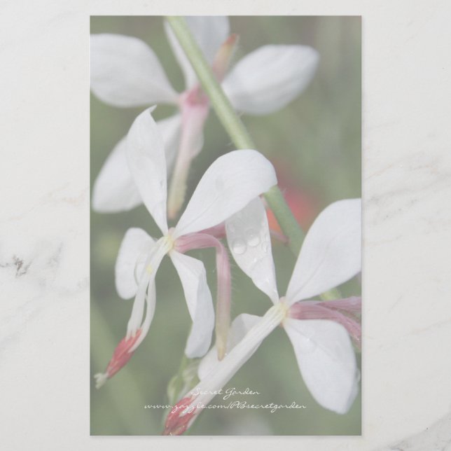 Gaura - Personalized Stationery (Front)