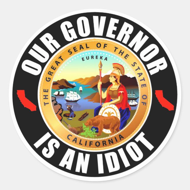 Gavin Newsom is an idiot Classic Round Sticker (Front)
