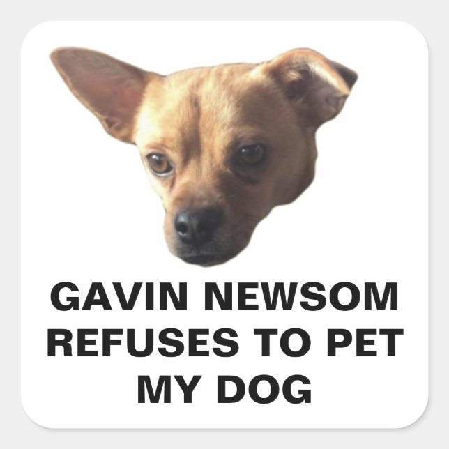 Gavin Newsom Refuses To Pet My Dog Square Sticker (Front)